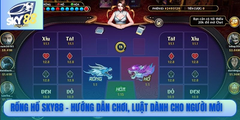 Rồng Hổ SKY88 - Hướng dẫn chơi, luật dành cho người mới